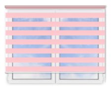 Стандартные рулонные шторы День Ночь Латина 0010 цена. Купить в «Мастерская Жалюзи»